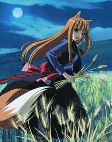 Spice and Wolf II: Wolf and the Amber Melancholy