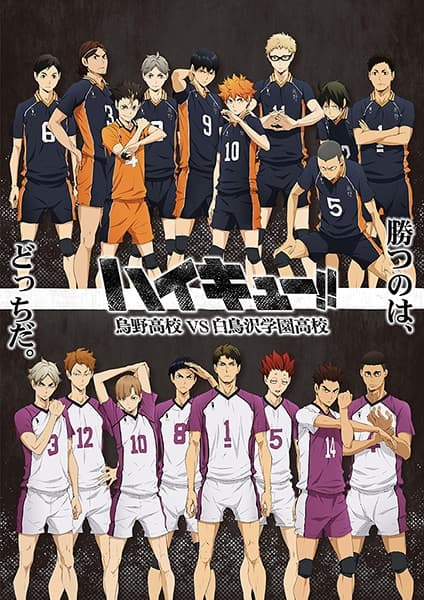 HAIKYU!! 3rd Season